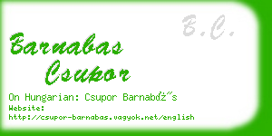 barnabas csupor business card